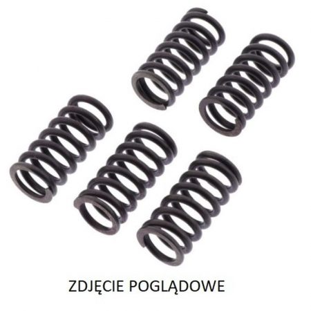 SPRĘŻYNY SPRZĘGŁOWE SUZUKI LT-R 450 QUADRACER '06-'12 TRW LUCAS ZF